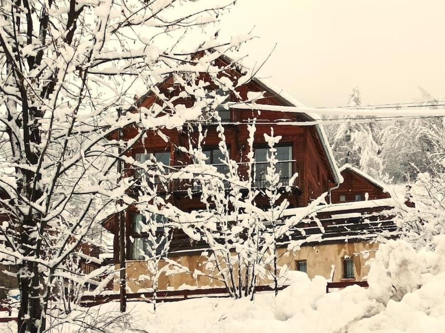Appart T3 Avec Terrasse De 60M2 Chalet Le Coucou Allos Exterior photo